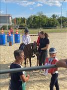 breitensportturnier_25_50