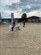 breitensportturnier_25_78