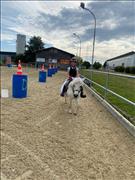 breitensportturnier_25_79