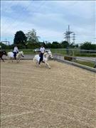 breitensportturnier_25_80