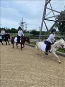 breitensportturnier_25_82