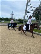 breitensportturnier_25_83