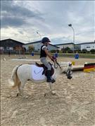 breitensportturnier_25_85